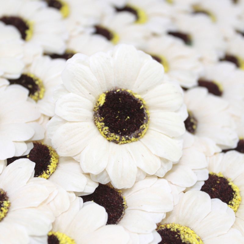 Квіти з Мила для Творчості - Малий Соняшник - Айворі