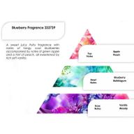 Чисті Ароматичні Олії 250 г - Лохина