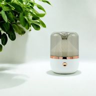 Аромадифузор Білий з Бронзовим USB-С - Зміна Кольору