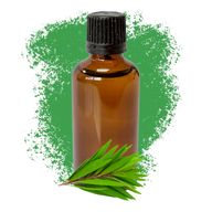 Ефірна Олія Чайного Дерева - 50 мл - Без Етикетки