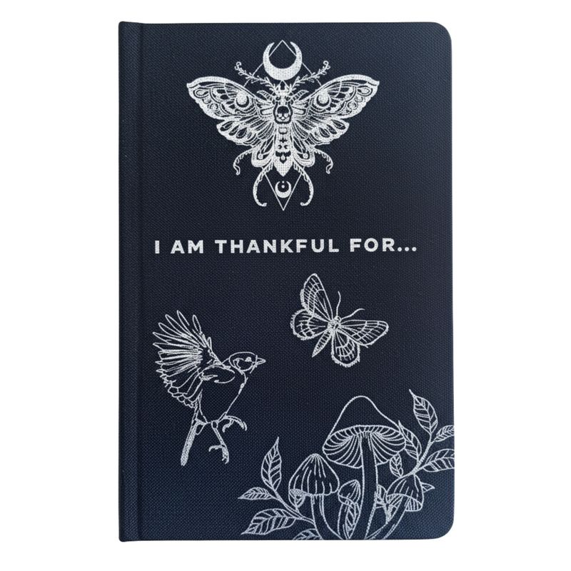 Щоденник Вдячності - Чорний та Срібний - I am Thankful For