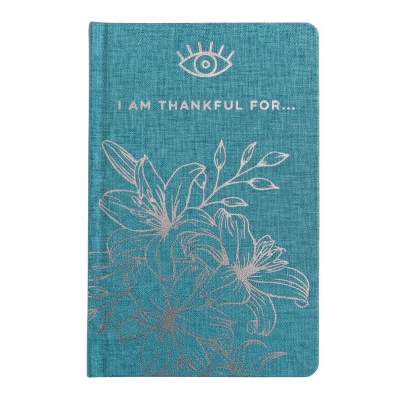 Щоденник Вдячності - Блакитний та Срібний - I am Thankful For