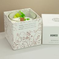 Agnes + Cat Ботанічна Свічка з Соєвого Воску - Лісова Ягода