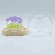 Скляна Куля з Квітками -  20 Тюльпанів - LED, USB