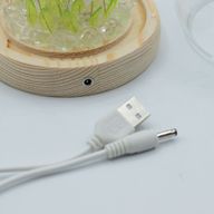 Скляна Куля з Квітками -  20 Тюльпанів - LED, USB