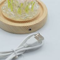 Скляна Куля з Квітками - 10 Рожевих Троянд - LED, USB