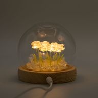 Скляна Куля з Квітками - 10 Рожевих Троянд - LED, USB