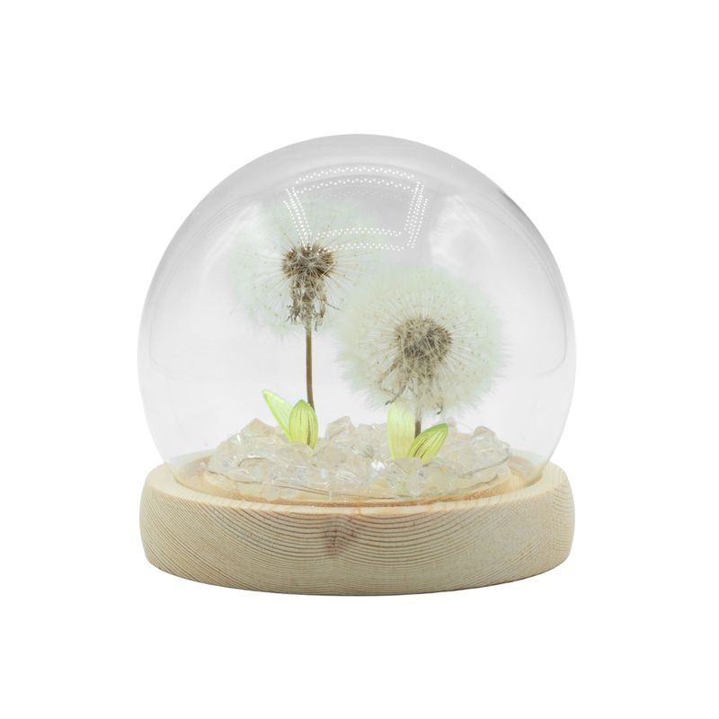 Скляна Куля з Квітками - 2 Кульбаби - LED, USB