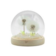Скляна Куля з Квітками - 2 Кульбаби - LED, USB