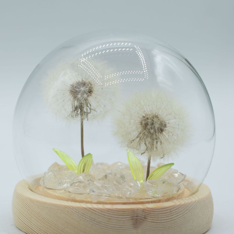 Скляна Куля з Квітками - 2 Кульбаби - LED, USB