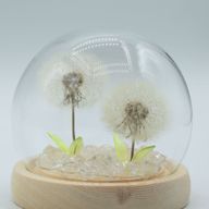 Скляна Куля з Квітками - 2 Кульбаби - LED, USB