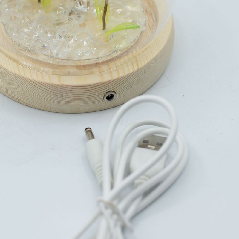 Скляна Куля з Квітками - 2 Кульбаби - LED, USB