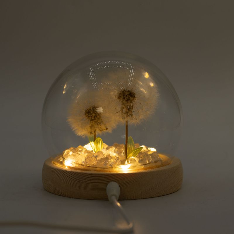 Скляна Куля з Квітками - 2 Кульбаби - LED, USB