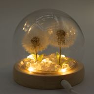 Скляна Куля з Квітками - 2 Кульбаби - LED, USB