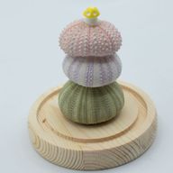 Скляна Куля - 3 Морських Їжаки - LED, USB
