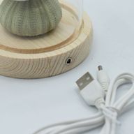 Скляна Куля - 3 Морських Їжаки - LED, USB