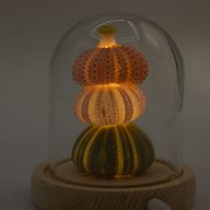 Скляна Куля - 3 Морських Їжаки - LED, USB