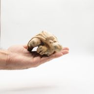 Ручна робота паразитної дерев'яної мистецької різьби — океанохоронний восьминіг