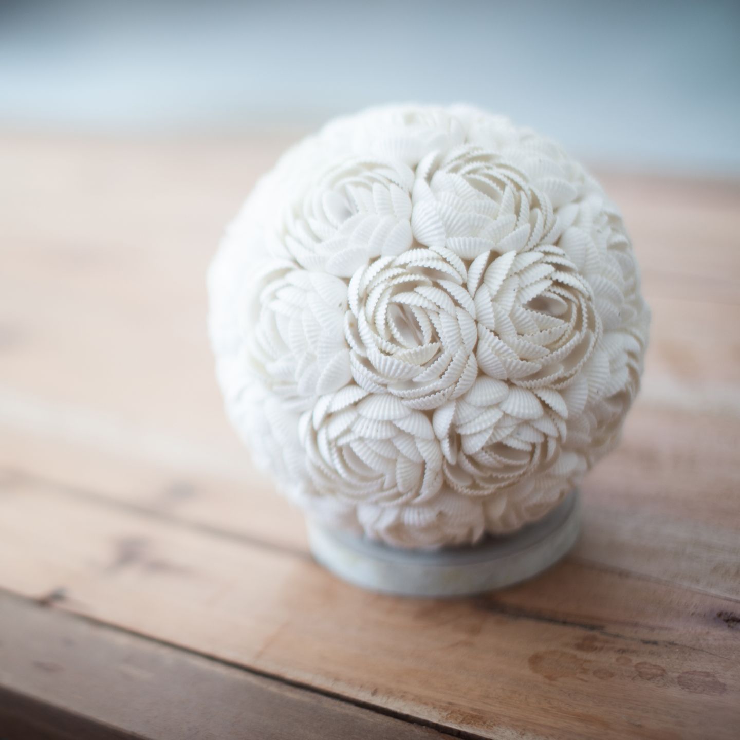 family image